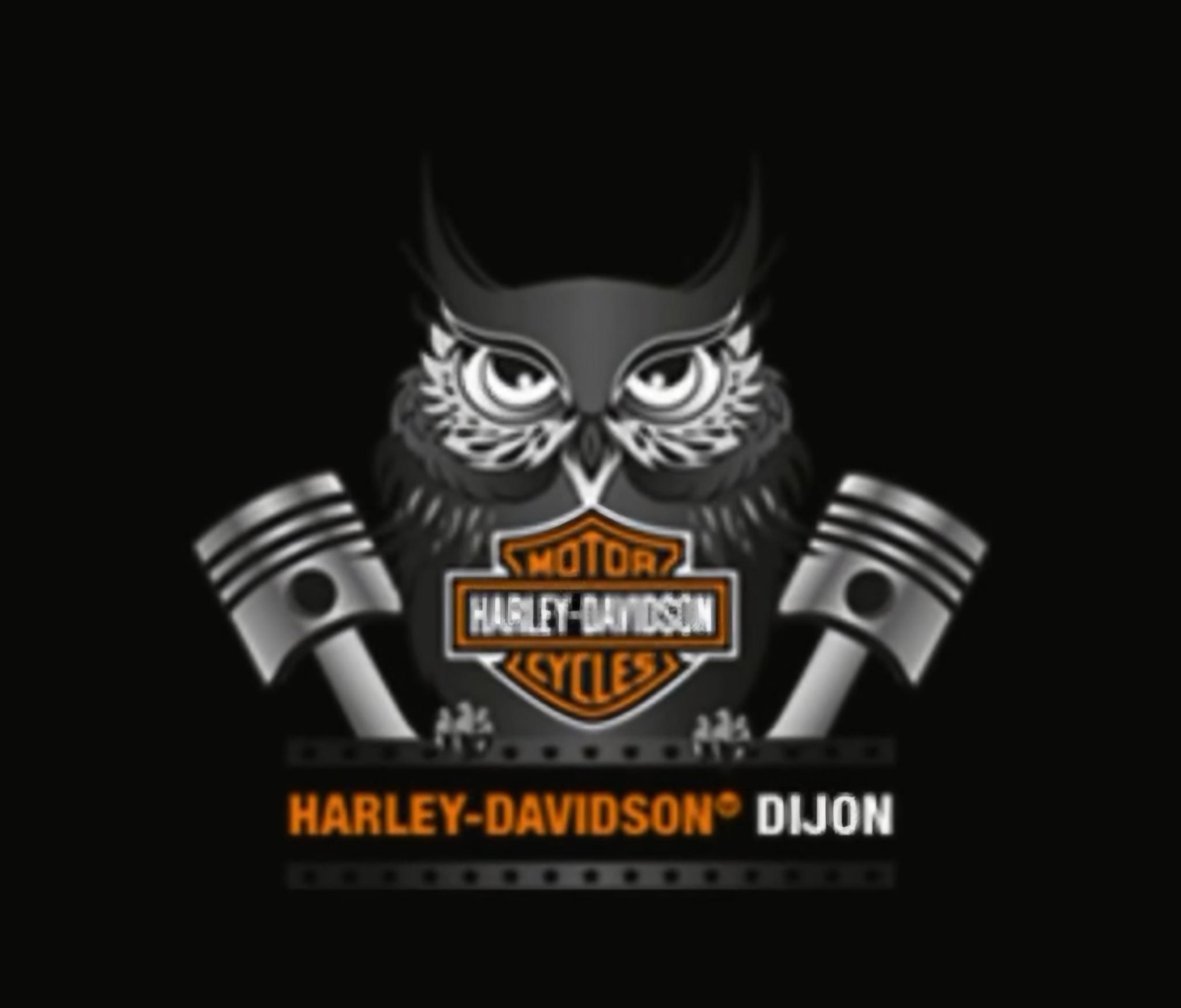 LOGO_2